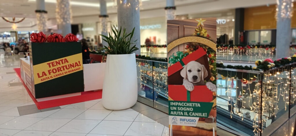 Dettaglio postazione concorso canile Rubano: cubo verde con fiocchi rossi e cartello giallo 'Tenta la fortuna! Aiuta il canile di Rubano', pianta in vaso bianco, pannello decorativo con cucciolo in pacco regalo natalizio e scritta 'Impacchetta un sogno aiuta il canile! Rifugio di Rubano'. Ringhiere con luci dorate sullo sfondo.